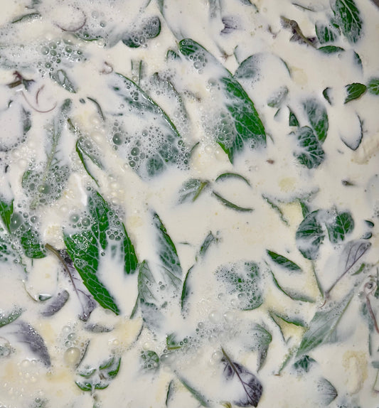 Fresh Mint and Chocolate Chip Ice Cream