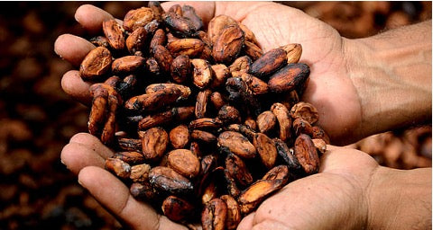 The Future of Chocolate is Fairtrade