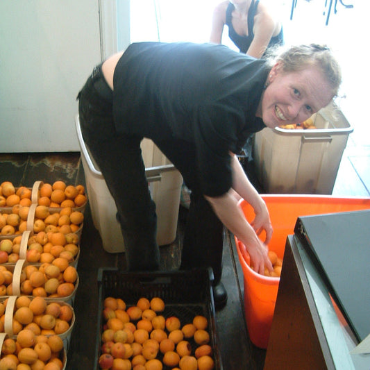 A person smiling while sorting through containers of fresh apricots, which are likely to be used as an ingredient for Niagara Apricot Ice Cream.