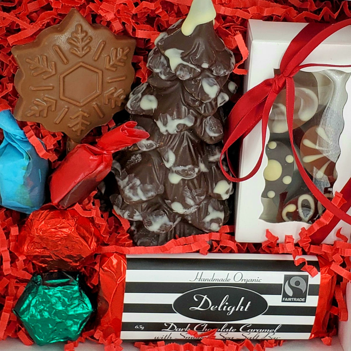 Presents Under the Tree Gift Box