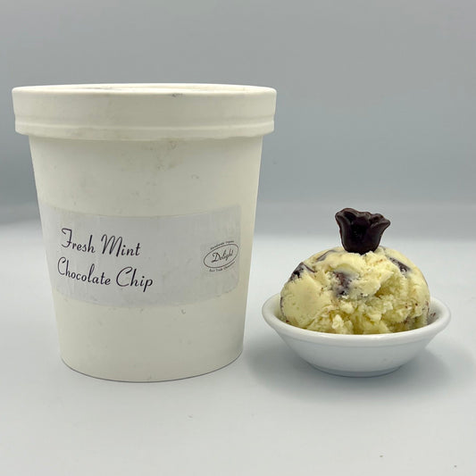Fresh Mint Chocolate Chip Toronto