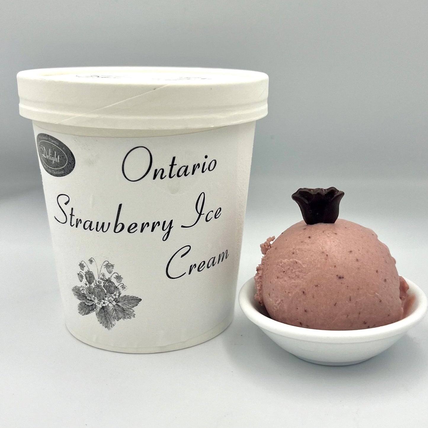 Handmade Ontario Strawberry Ice Cream In Toronto