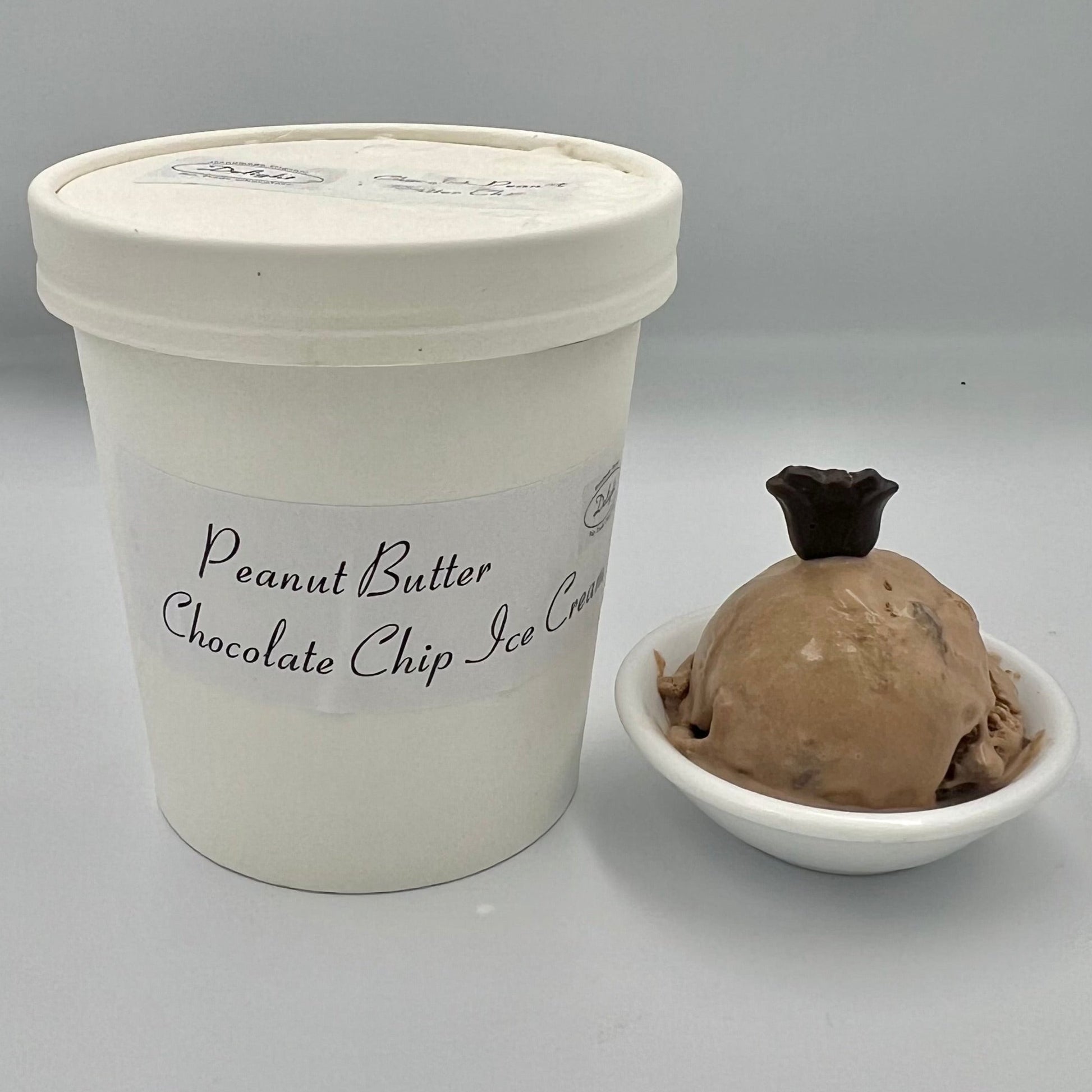 Handmade Peanut Butter Chocolate Chip Ice Cream in Toronto