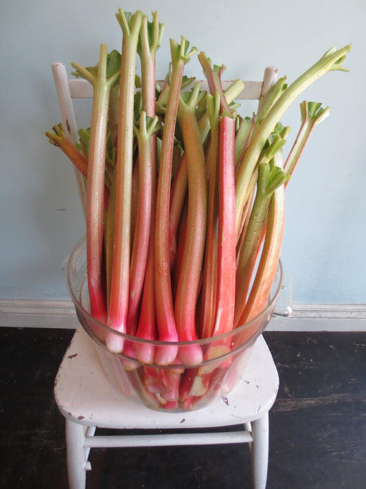 Rhubarb Ice Cream