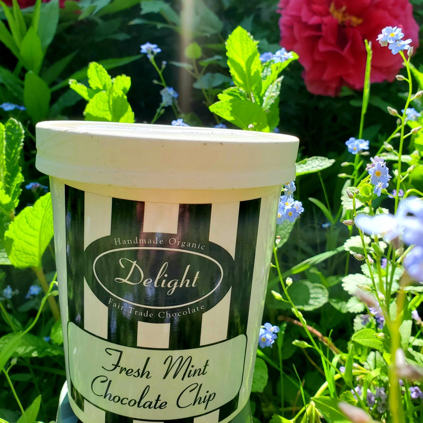 Fresh Mint Chocolate Chip Ice Cream