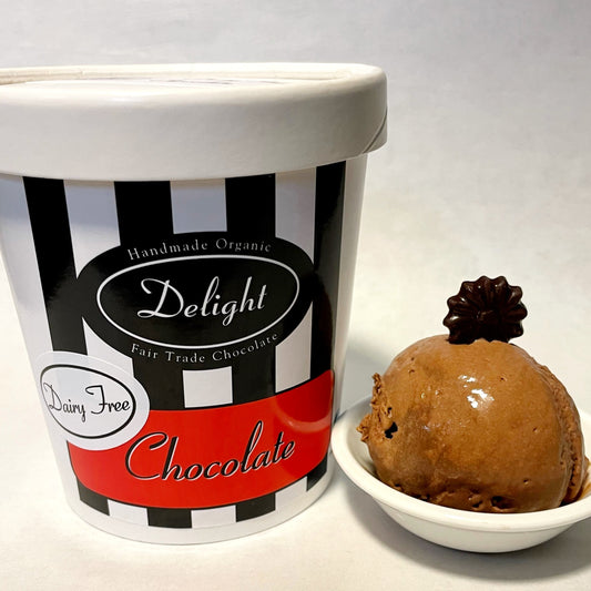 Dairy Free Chocolate Ice cream